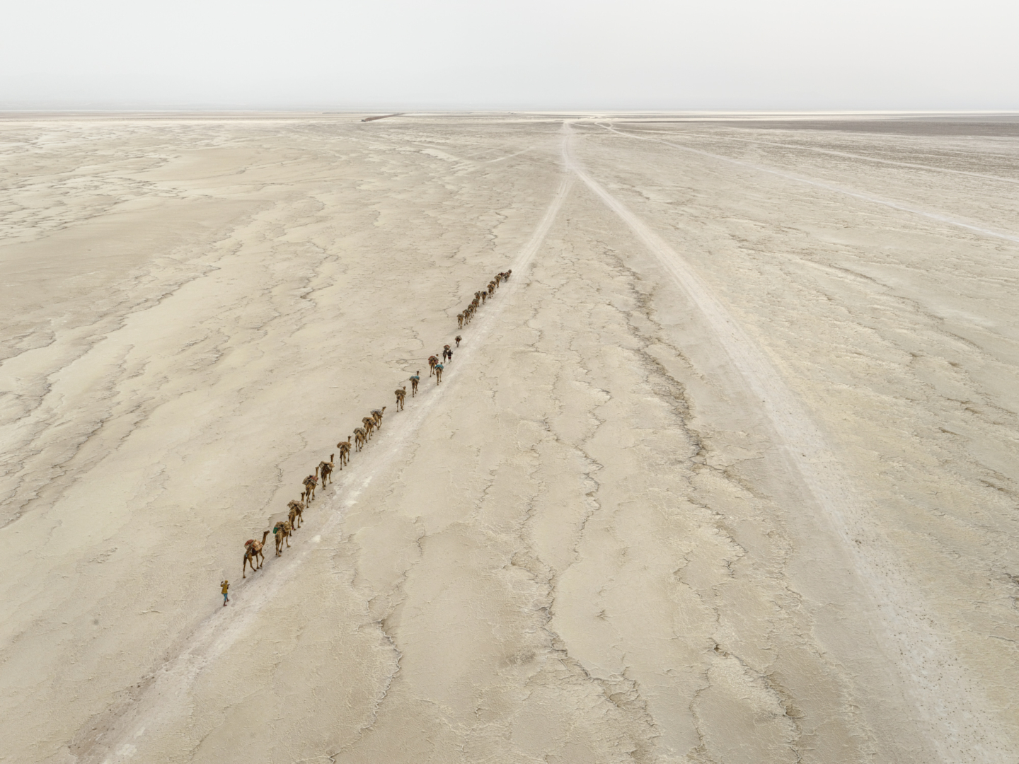 Camel Caravan #1, Danakil Depression, Ethiopia, 2018