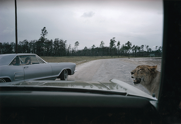 Florida, 1970