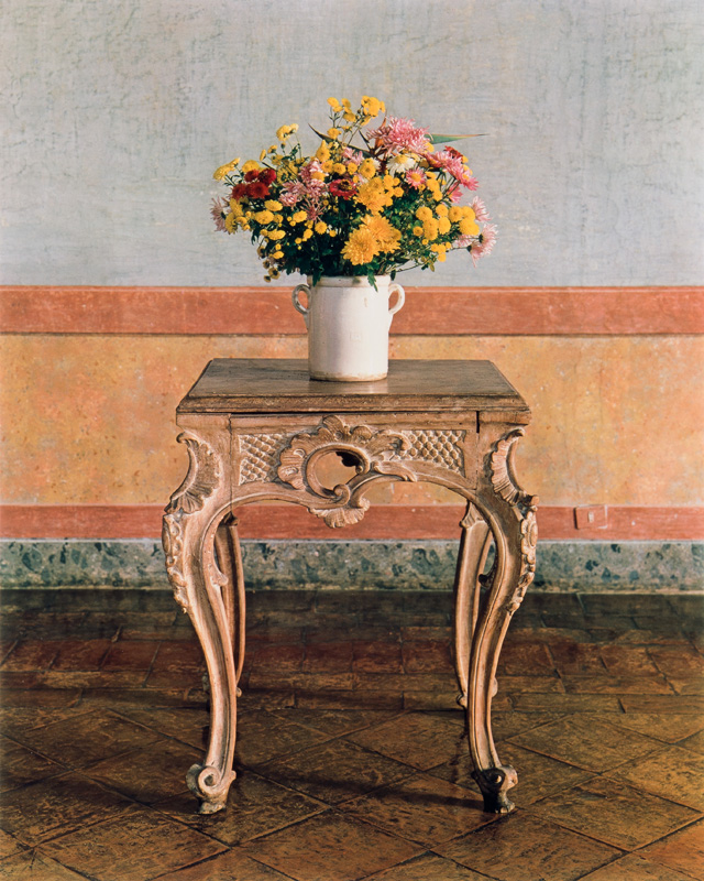 Flowers, Villa Medici, 1982